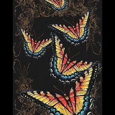 Схема вышивки «Бабочки»