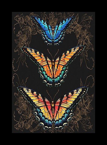 Бабочки - оригинал