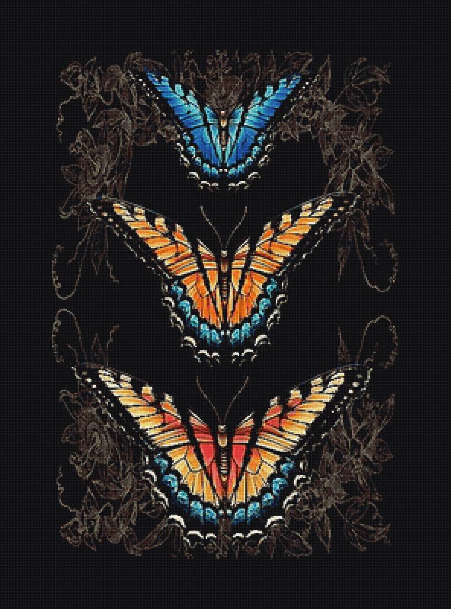 Бабочки - предпросмотр