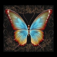 Схема вышивки «Бабочка»