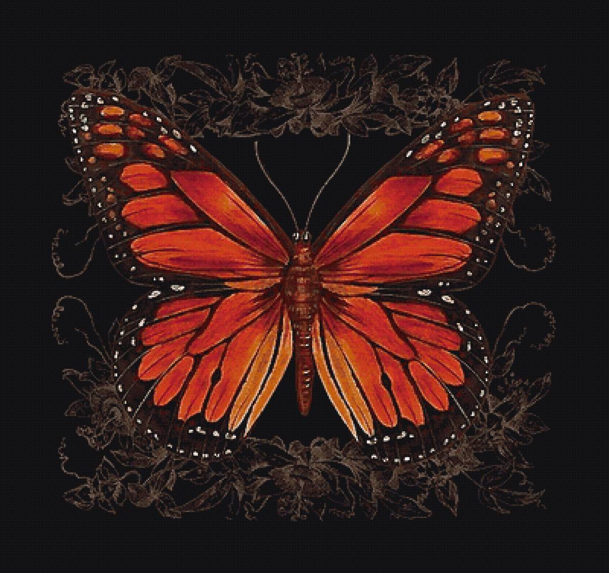 Бабочка - предпросмотр