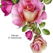 Схема вышивки «САЛФЕТКА РОЗА»