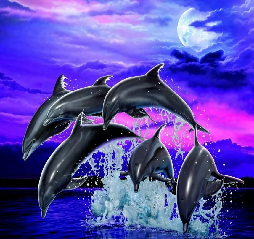 Ночные игры дельфинов - море, стая дельфинов - оригинал