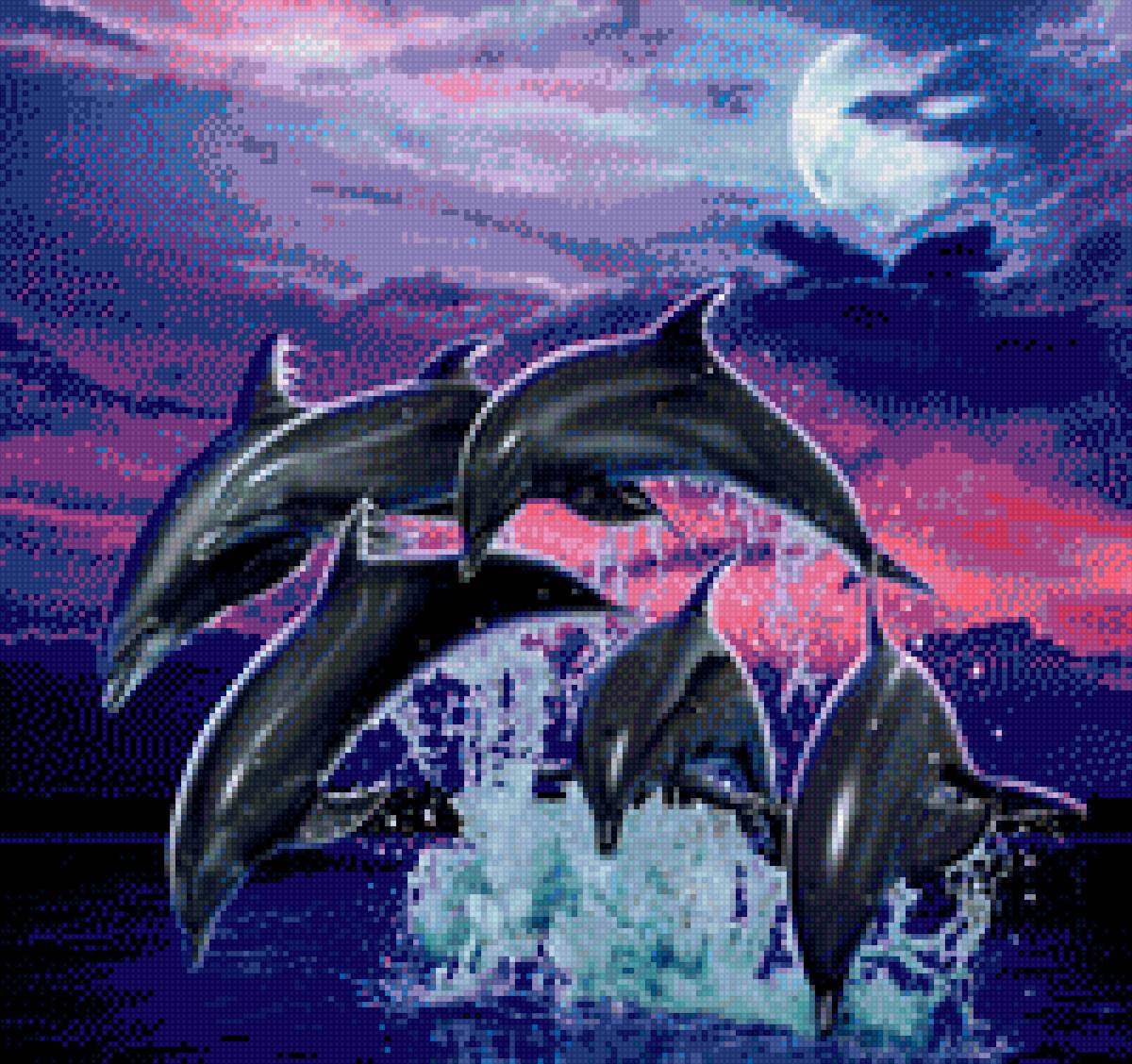 Ночные игры дельфинов - море, стая дельфинов - предпросмотр