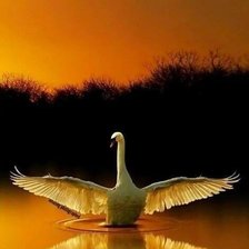 Схема вышивки «№2127253»