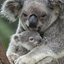 Схема вышивки «№2127268»