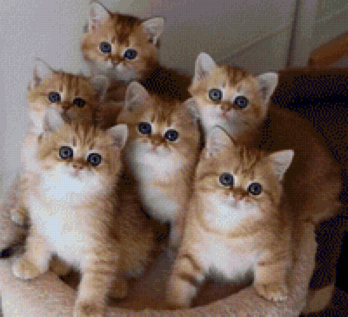 №2127273 - предпросмотр