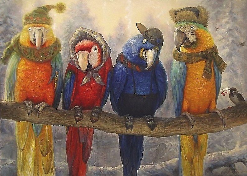 попугаи - зима, попугаи, шапки, птицы - оригинал