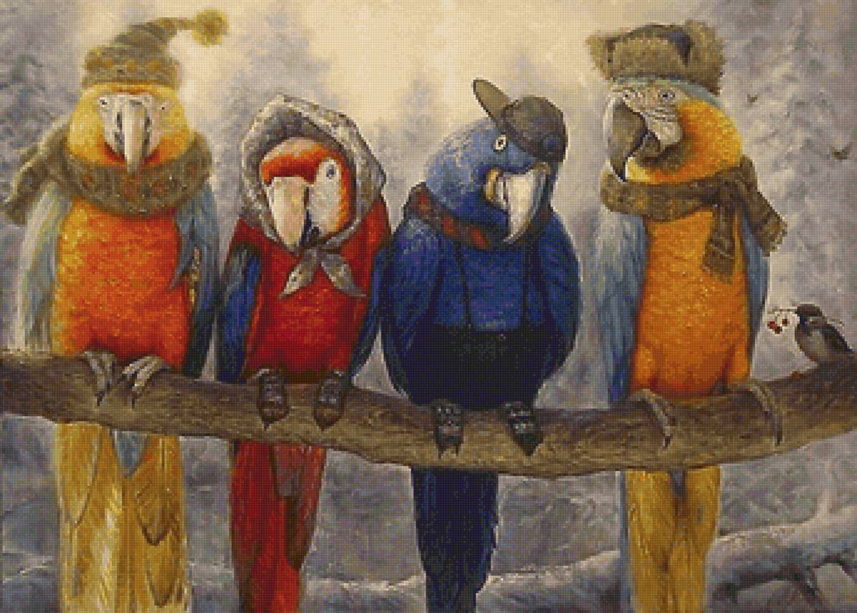 попугаи - зима, попугаи, птицы, шапки - предпросмотр