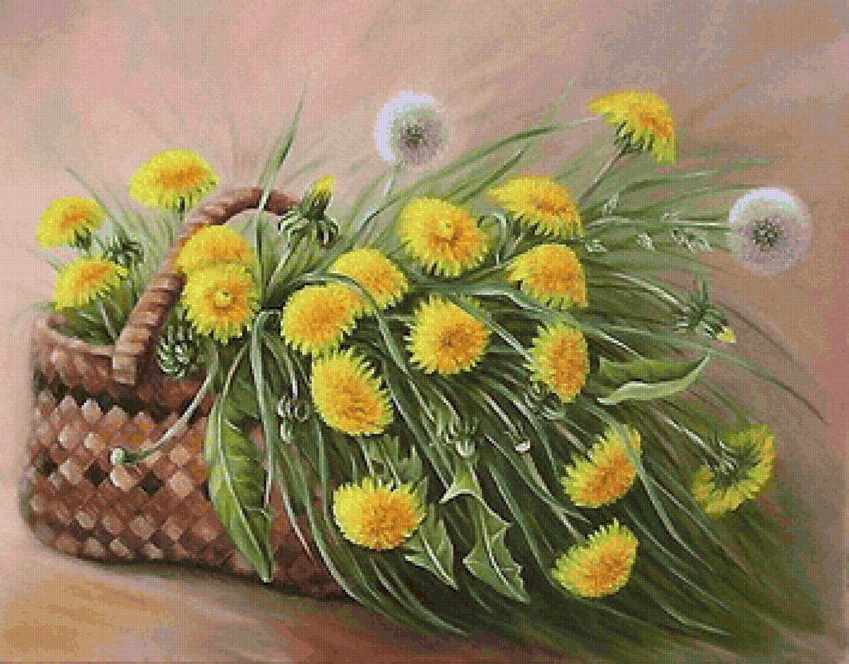 одуванчики - предпросмотр