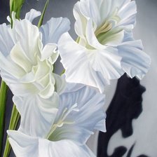 Схема вышивки «цветы»