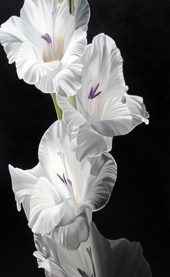 цветы - оригинал