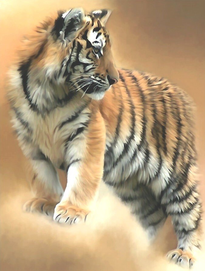 тигр - животное, тигр - оригинал