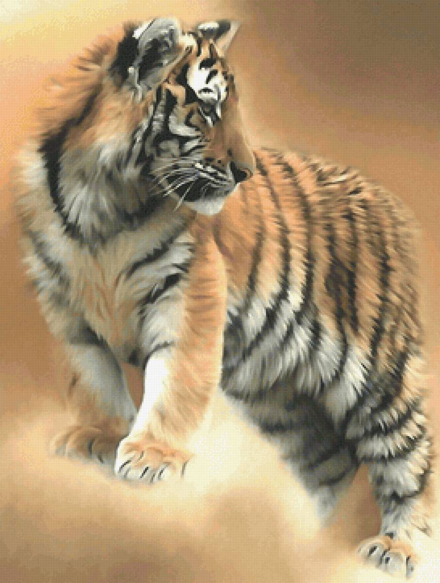 тигр - животное, тигр - предпросмотр