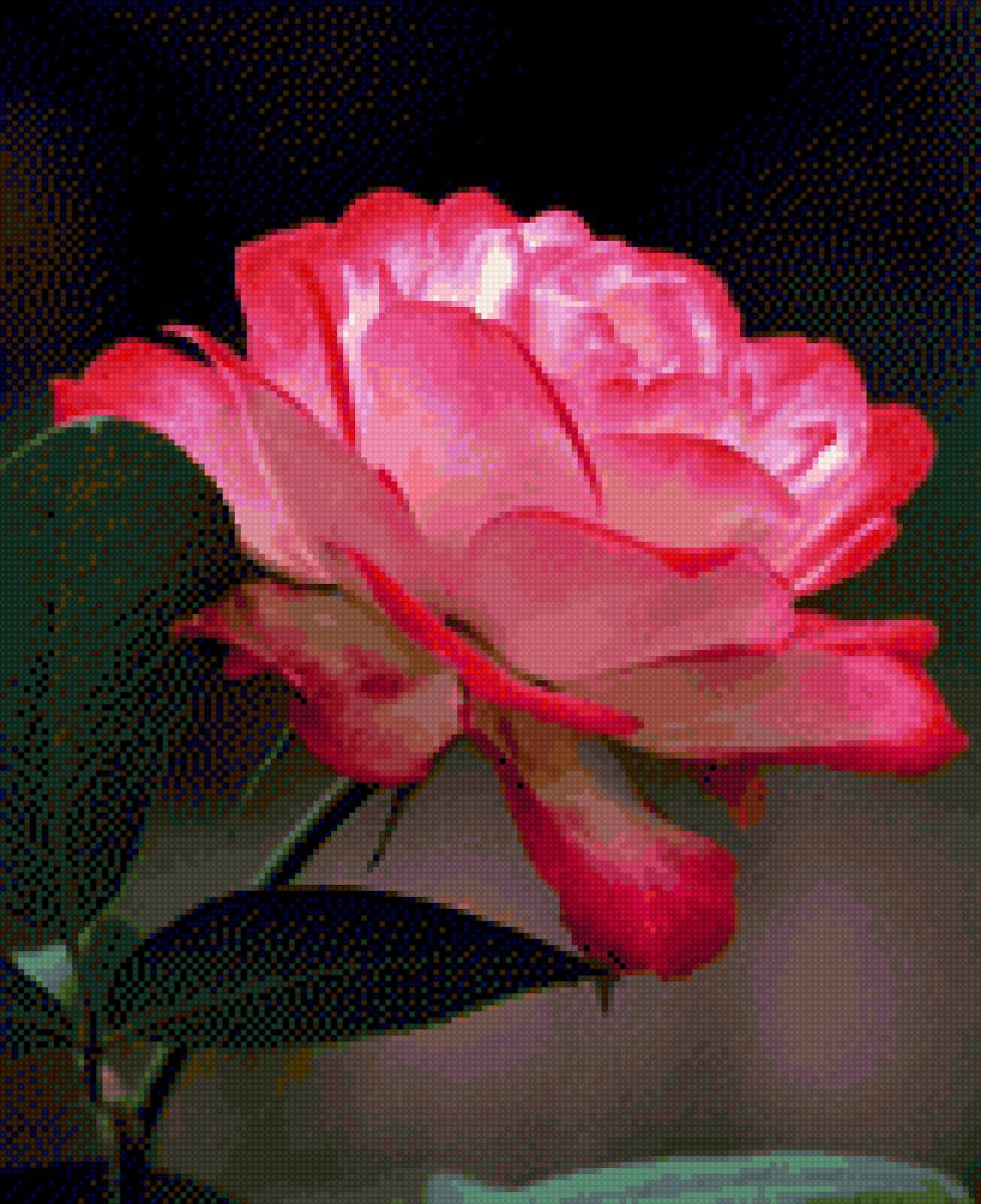 №2127834 - предпросмотр