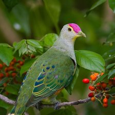 Схема вышивки «№2127838»