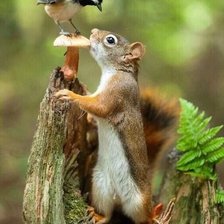 Схема вышивки «№2127840»