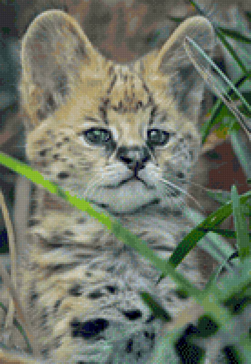 №2127848 - предпросмотр