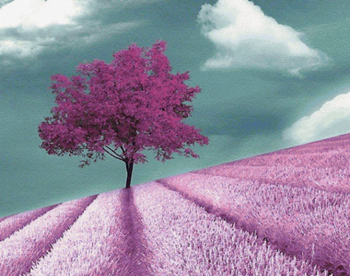 №2127981 - предпросмотр