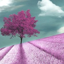 Схема вышивки «№2127981»