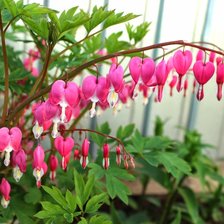 Схема вышивки «Разбитое-сердце»