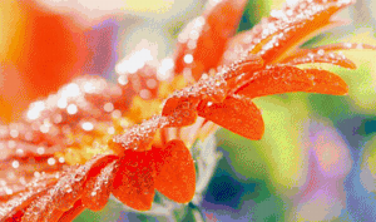 ГЕРБЕРА - предпросмотр