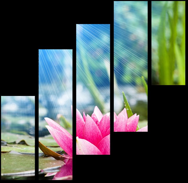 Цветы - оригинал