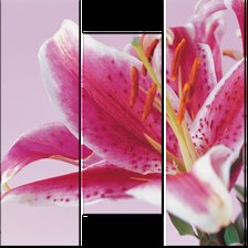 Схема вышивки «Лилии»