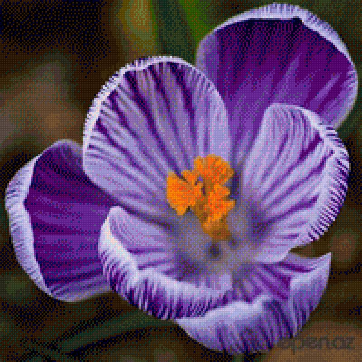 Цветы - предпросмотр