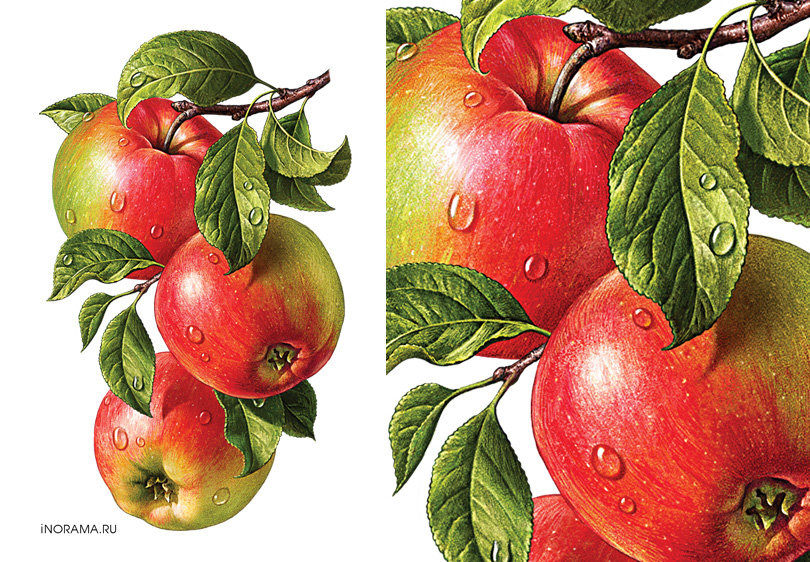 Фрукты - оригинал