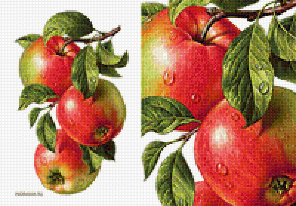 Фрукты - предпросмотр