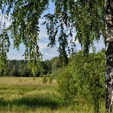 Схема вышивки «№2128184»