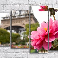 Схема вышивки «Цветы»