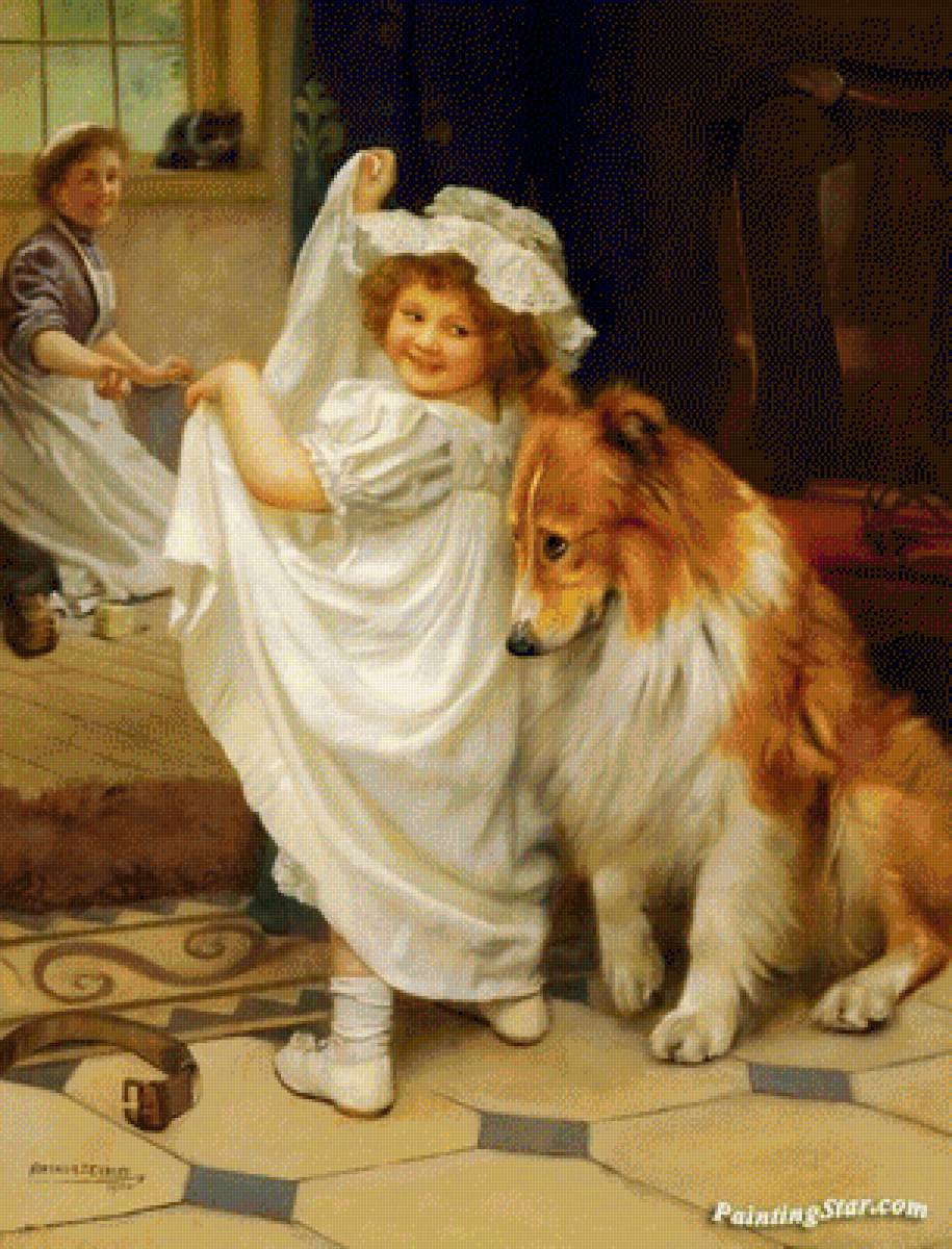 Купание колли - предпросмотр