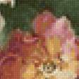 Предпросмотр схемы вышивки «Цветы в вазе. Харольд Клейтон» (№2128538)