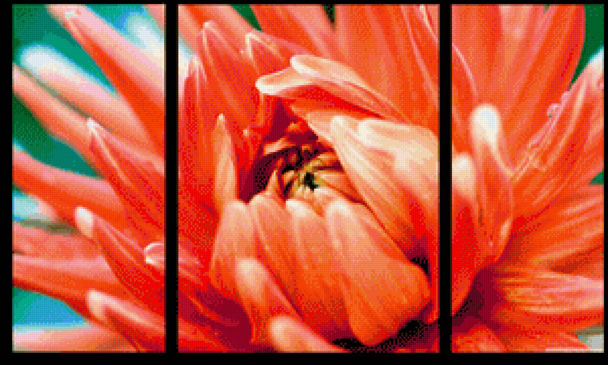 Цветы - предпросмотр