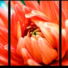 Схема вышивки «Цветы»