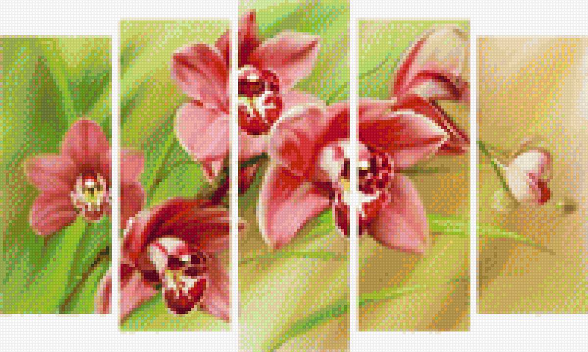 Цветы - предпросмотр