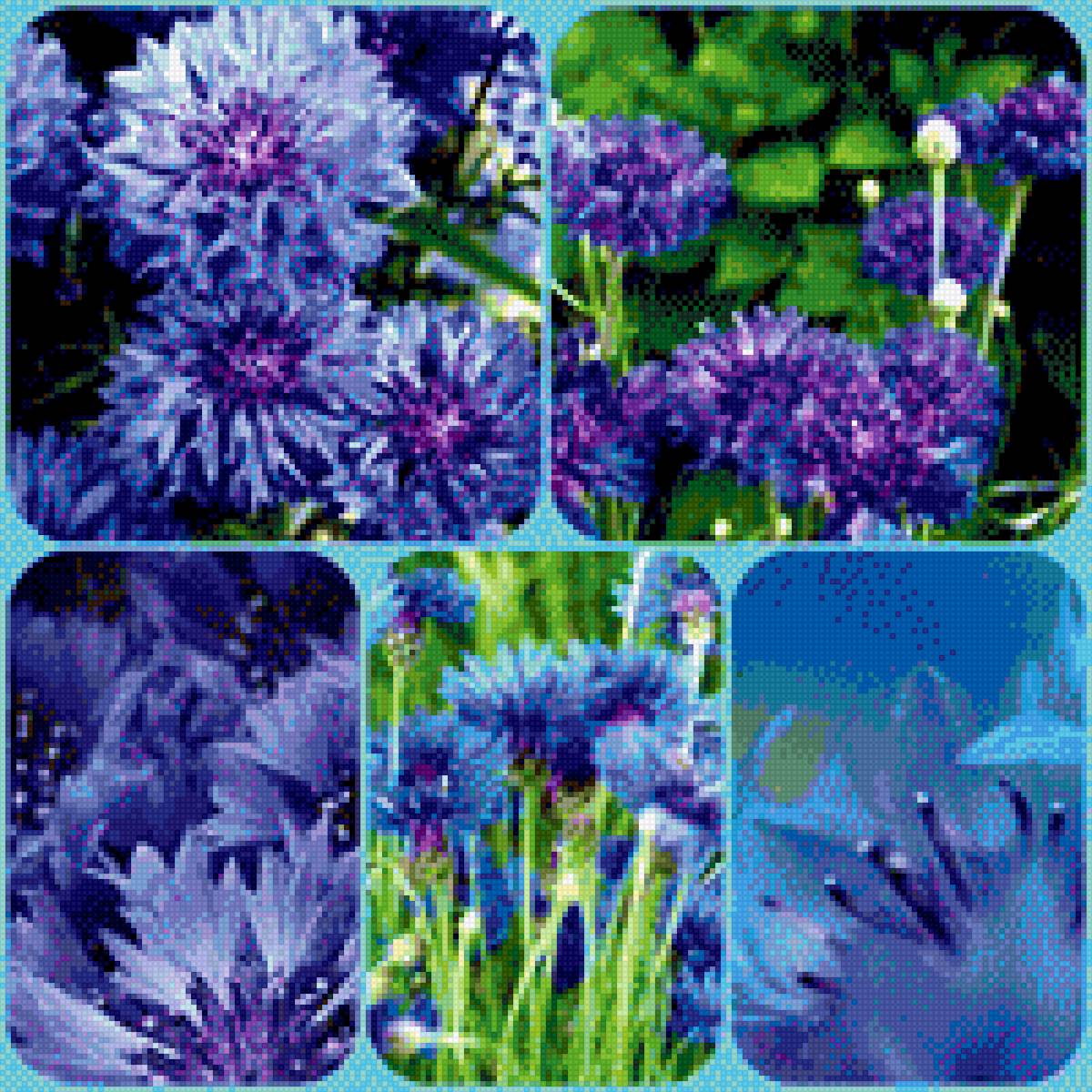 Цветы - предпросмотр