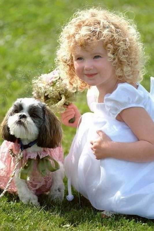 малыши - оригинал