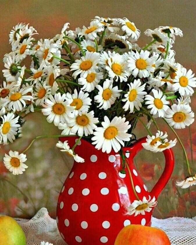 ромашки - оригинал