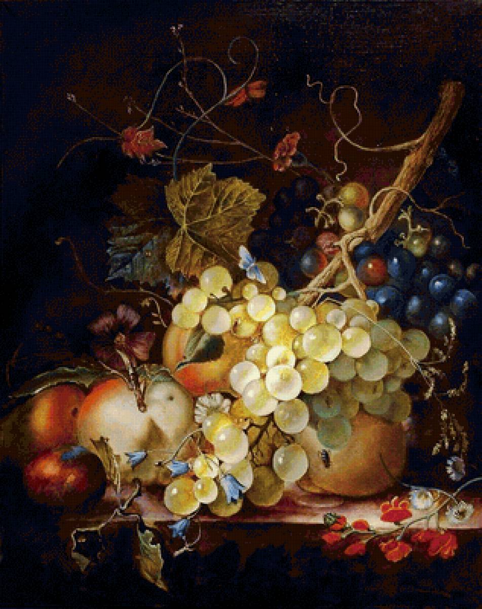Натюрморт. Ян Ван Хейсум - живопись, натюрморт, фрукты - предпросмотр