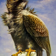 Схема вышивки «The Eagle.»