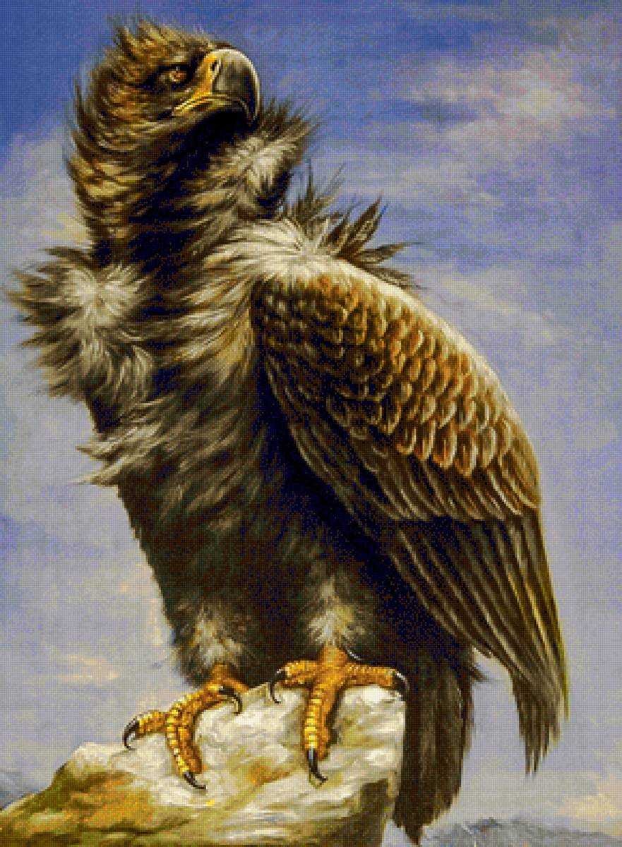 The Eagle. - augusto javino bruno painter.birds. - предпросмотр