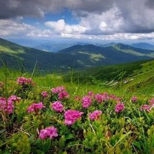 Схема вышивки «природа»