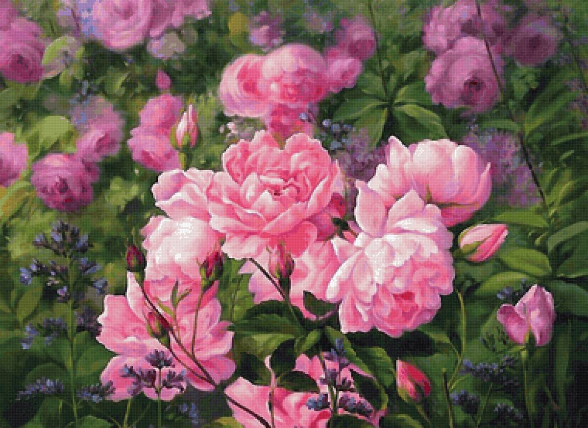 №2129424 - предпросмотр