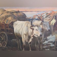 Схема вышивки «Woły w zaprzęgu»