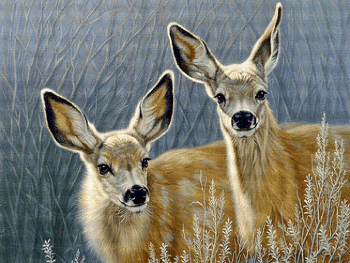 №2129609 - предпросмотр