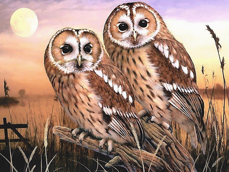 №2129617 - оригинал