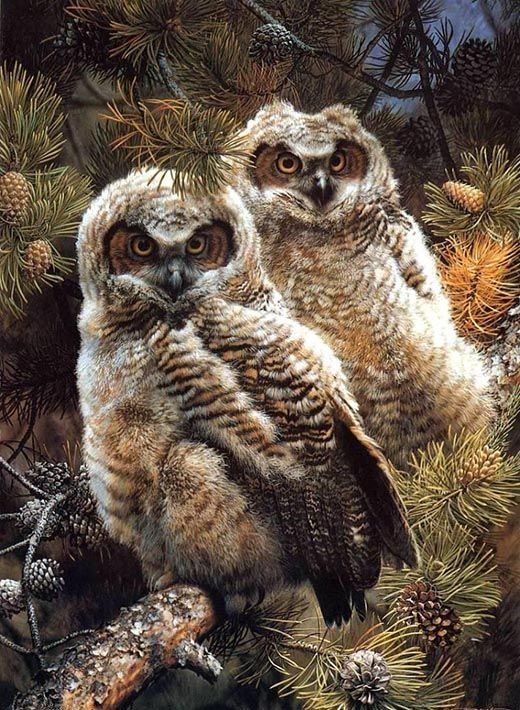 птицы - оригинал